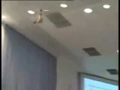 Russian press conference invaded by flying dildo
