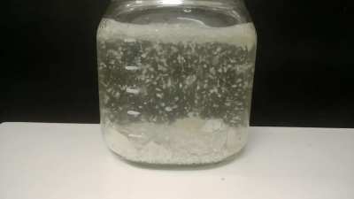 Poor man's snow globe, JK it's just Vinegar and eggshells to make Calcium acetate. Video link in comments