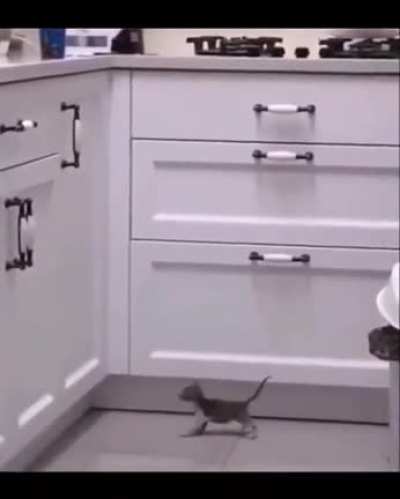 Basically... He's very tiny