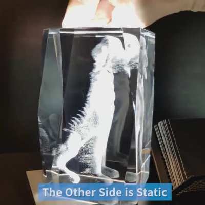 Have you seen these 3D crystals? AMAZING! 😲 Use ANY photo. One side follows you, the other doesn't! Check it out. 👉 FREE SHIPPING 👈