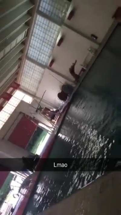 Friend on the high dive a few years back.