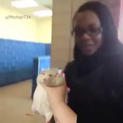 I am back. Thanks for the HD rat. There will be much more videos to come. "This Rat Empty"