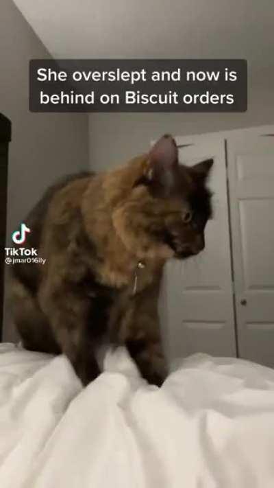 Behind on biscuit orders