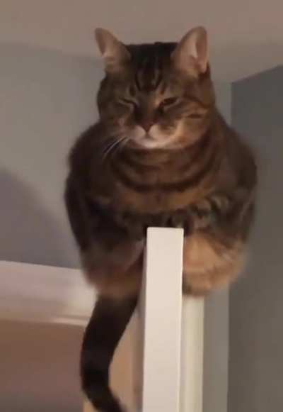 He is in charge