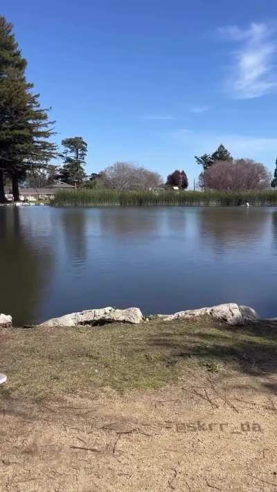 rock skipping