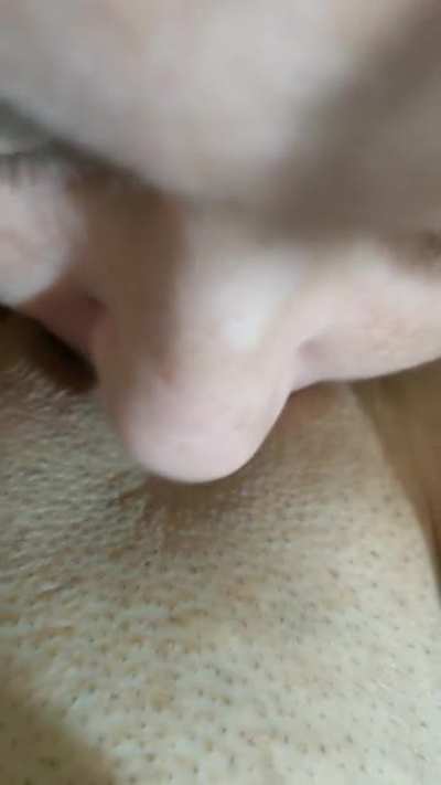 Carpet Muncher