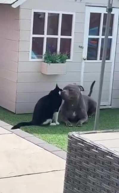 Besties