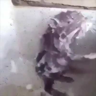 New York niggas showering
