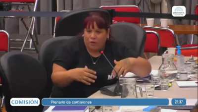 Diputada Zaracho: 