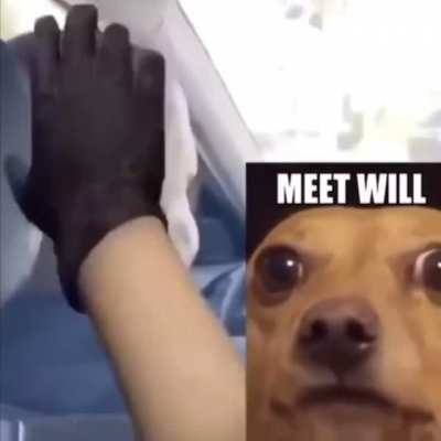 Meet will