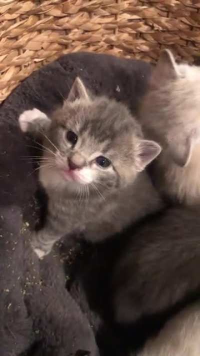 Baby beans! 💕