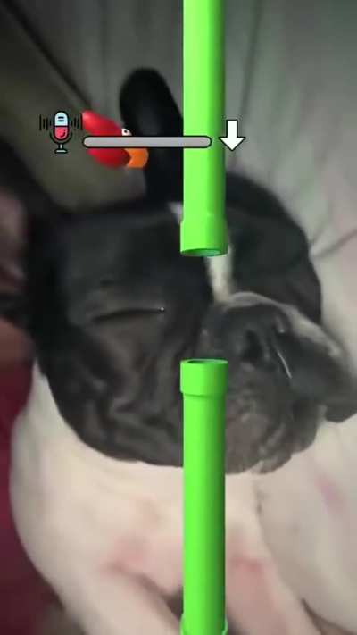 Wunky gamer