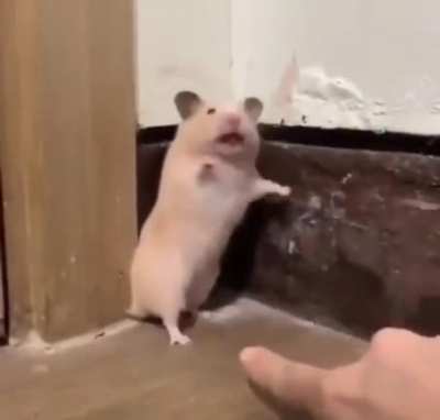 You seeing this dude touch my ass?