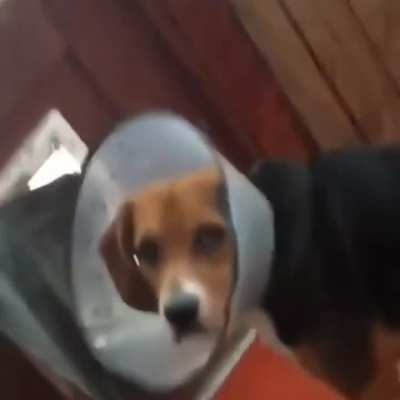"Sharon, please just put down the phone and help me.&rdquo;