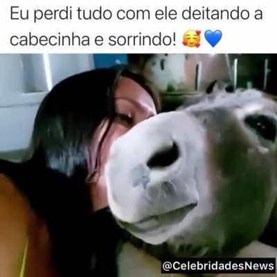 &Eacute; a porra do Django