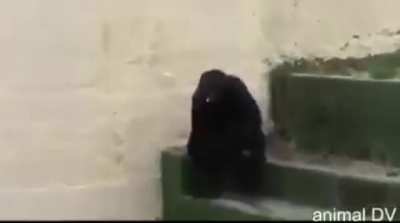 No yayın just h&uuml;z&uuml;n