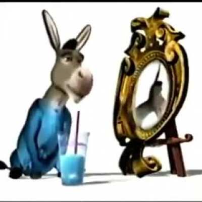 Mmm donkey