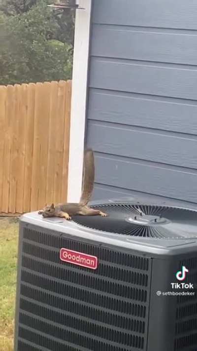 Just chillin