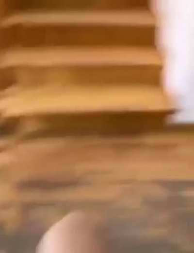 Нежданчик