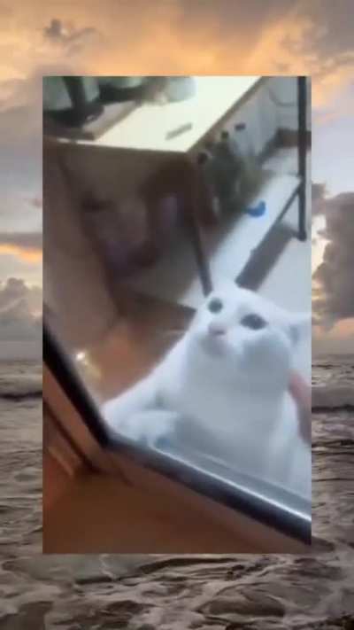 Quando você não nasceu para aquilo.