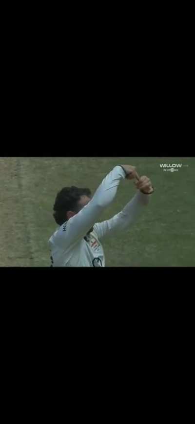 Travis head celebration 