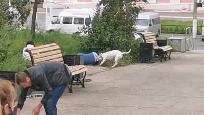 Зарисовка