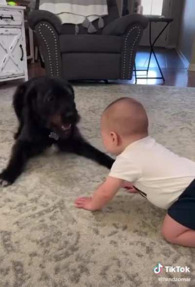 hUgE mOnsTer killing And EaTiNg a pooR babY