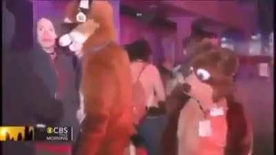 Meet The Anti Furry