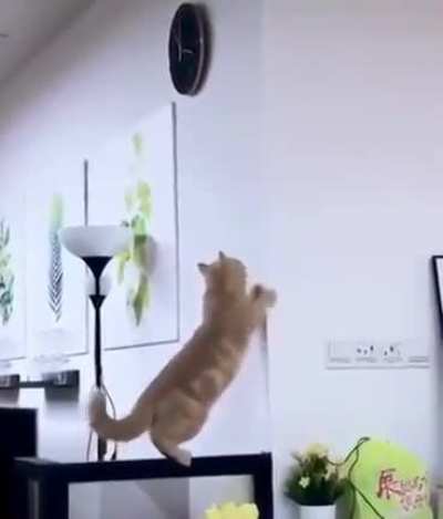 Right in the pussy