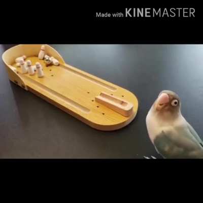 Yo that's epic [SOUND ON]