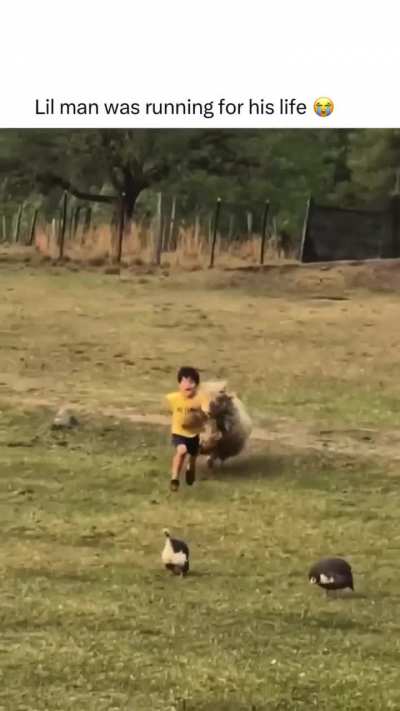 Ouuuchhhhh!!! 😂