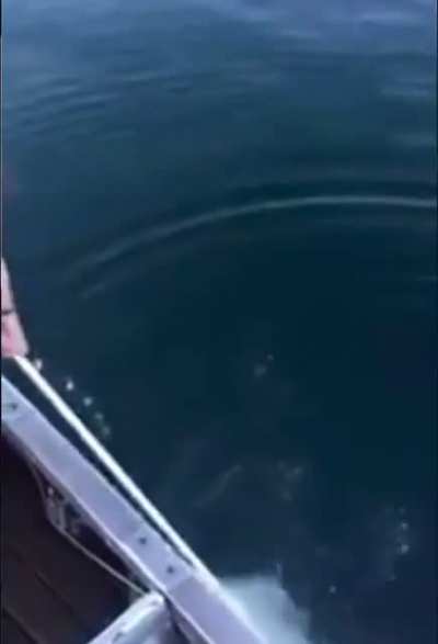 That’s some extreme fishing