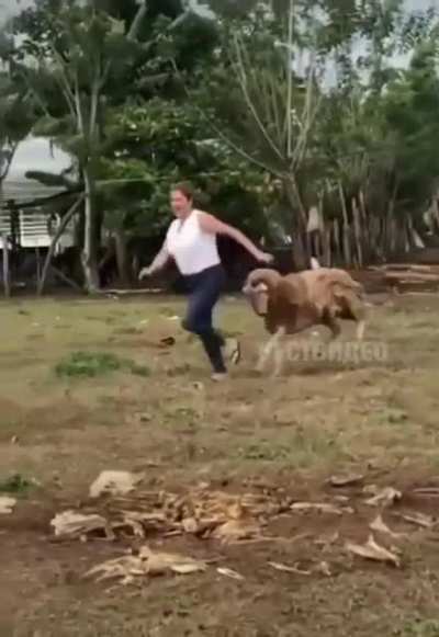 Vazou o v&iacute;deo da agress&atilde;o a Joice Hasselmann