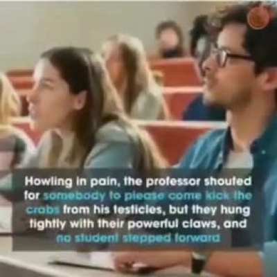 Libtard owned