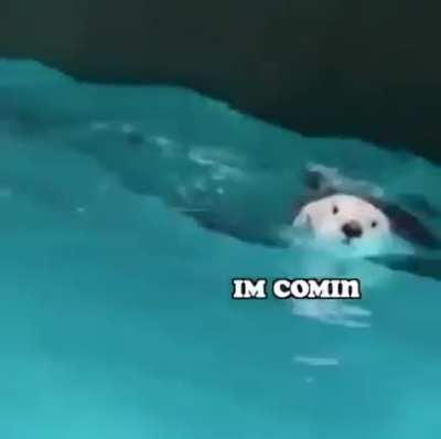 Otter.exe