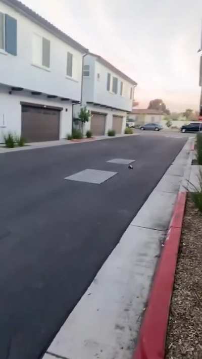 yesyesyesyesno