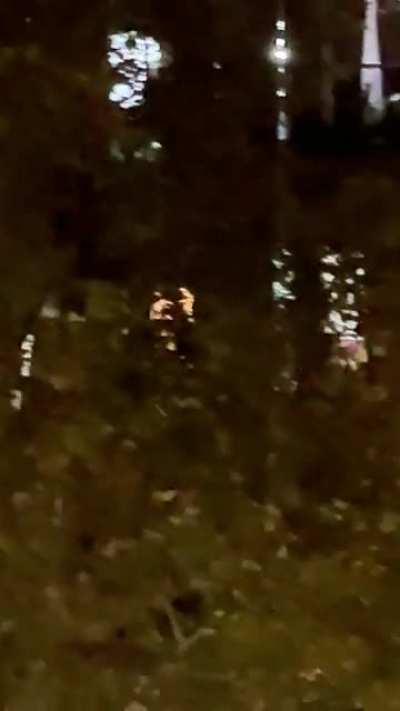 Linda noche en palermo