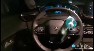 "Ejti nebun coaie, se conduce singura asta..."