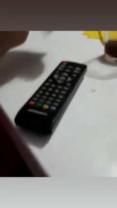 Amk kuşu napıyorsun