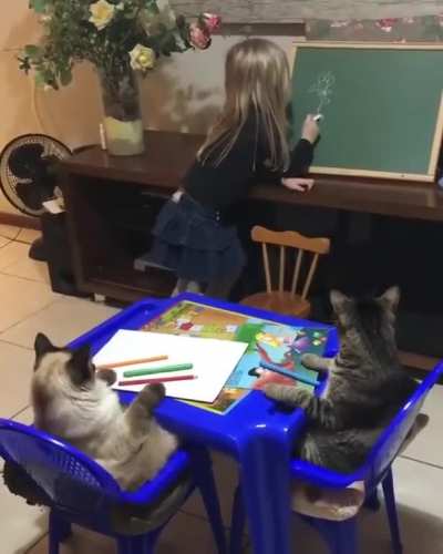 Cute