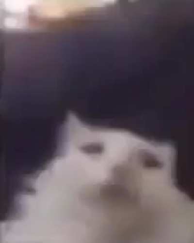 Uuhhh uhhhh