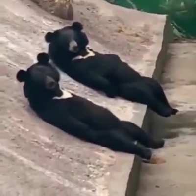 Oh hi, Sup bro!