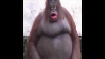 cursed_stinky
