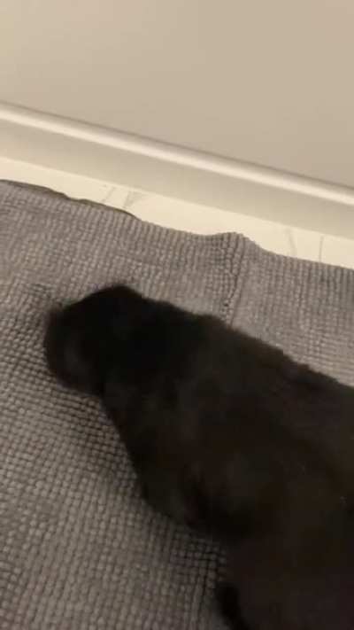 It&rsquo;s her brush now.