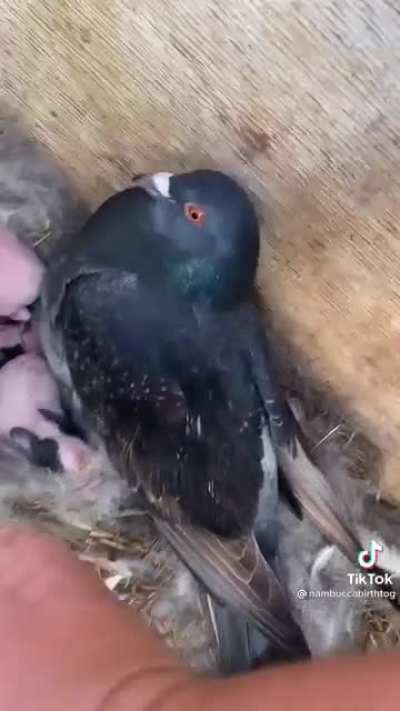 He&rsquo;s a proud father.