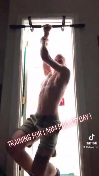 Maybe Cringe but I&rsquo;m determined to get a 1 armed pull up