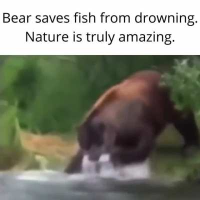 Wow