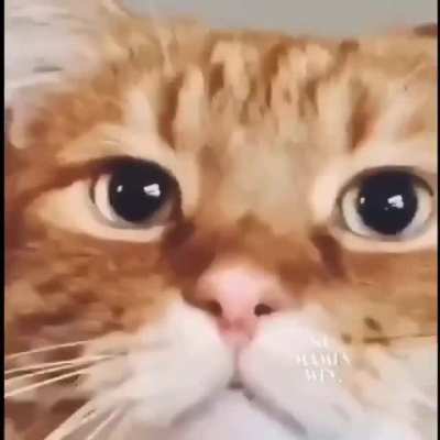 Stop, please!