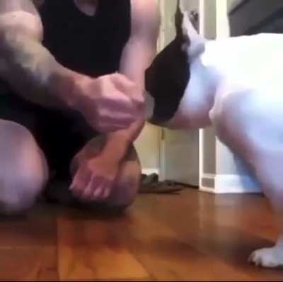 Bamboozling magic