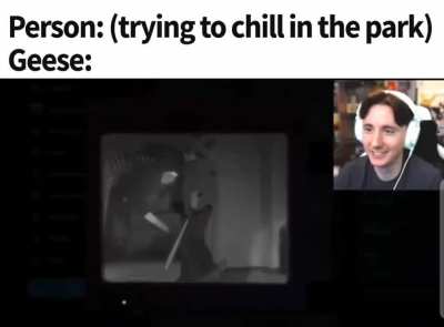 Untitled goose post 